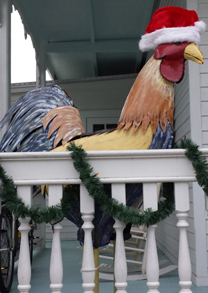 Rooster Santa hat Key West