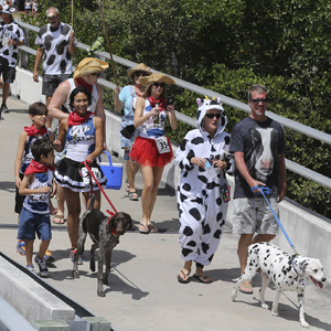 The quirky event even had a special division for people with pets -- giving canines a bovine moment. 