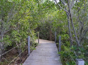 Crane Point Florida Keys trail