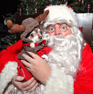 Santa with dog Florida Keys