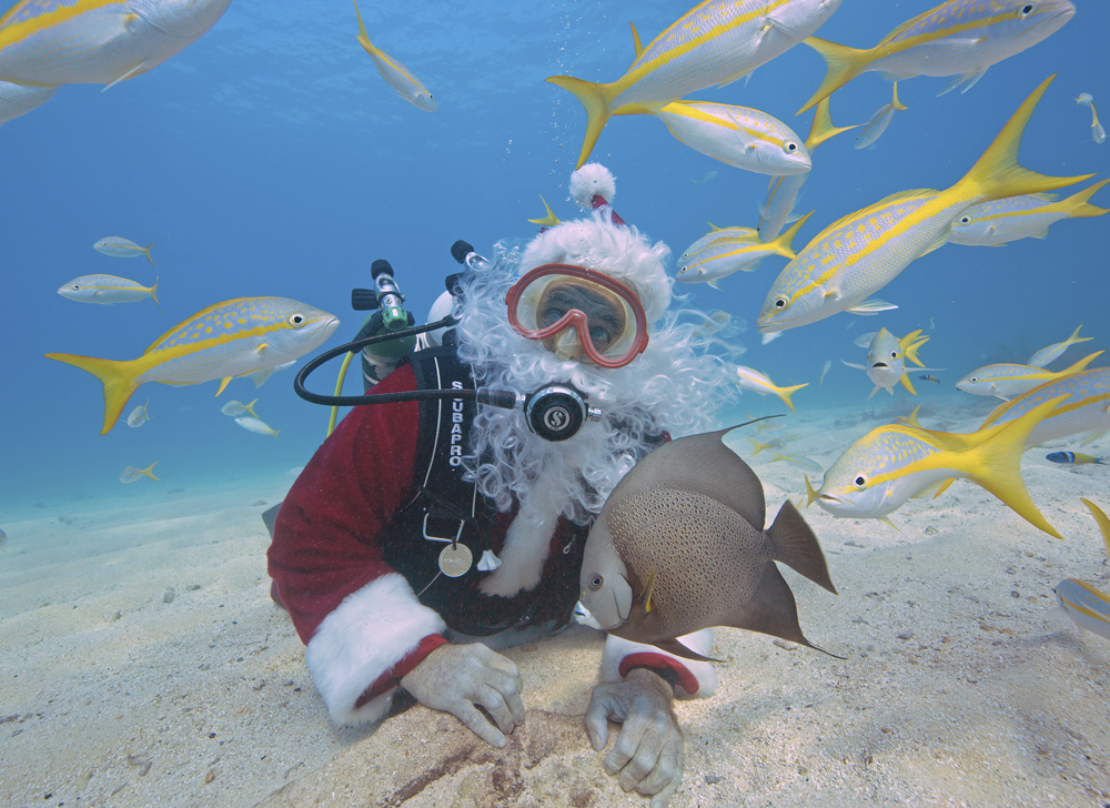 Underwater Santa Florida Keys