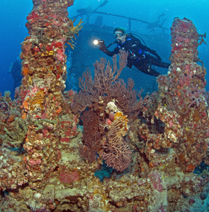 Diver artificial reef Key Largo