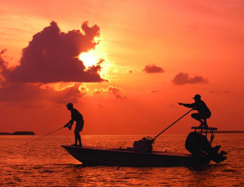 Get Hooked on Florida Keys Fishing … All Year Long