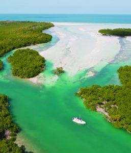 Lower Keys Aerial