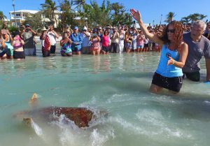 Turtle Release Florida Keys