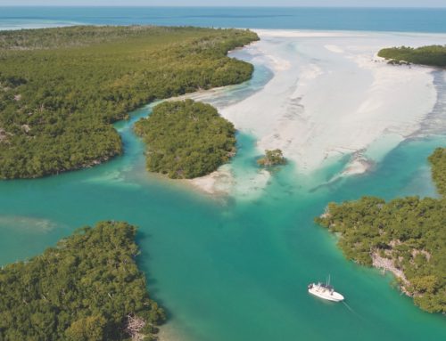 Connect to the Environment with New Florida Keys Eco-Experience Trail Pass