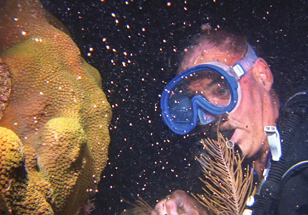 coral spawn Florida Keys