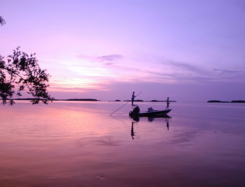 ‘Blue Star’ Means Green Adventures in the Florida Keys