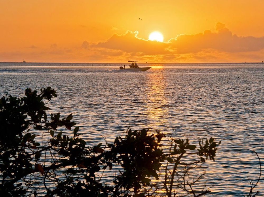 Islamorada Mangroves sunset