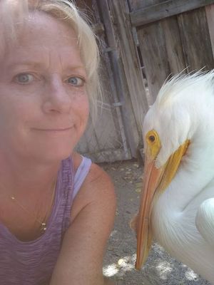 Kelly Grinter wild bird Marathon Florida Keys