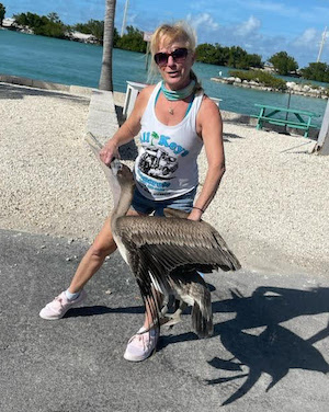 Kelly Grinter Marathon wild bird Florida Keys