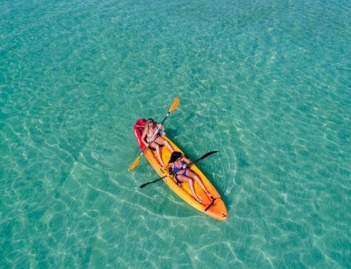 Florida Keys Summer Means Saltwater Fun