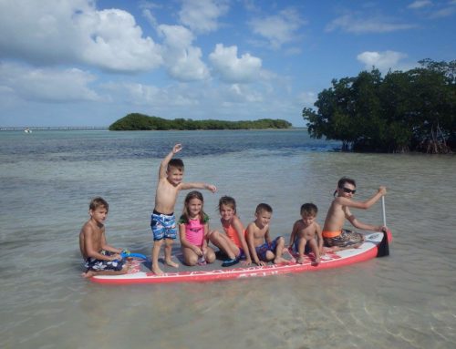 Explore the Family-Friendly Florida Keys