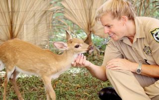 Jeanne Selandar Florida Keys Sheriff's Animal Farm