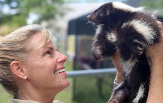 Jeanne Selandr skunk Florida Keys