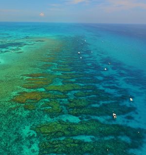 Looe Key Reef Florida Keys