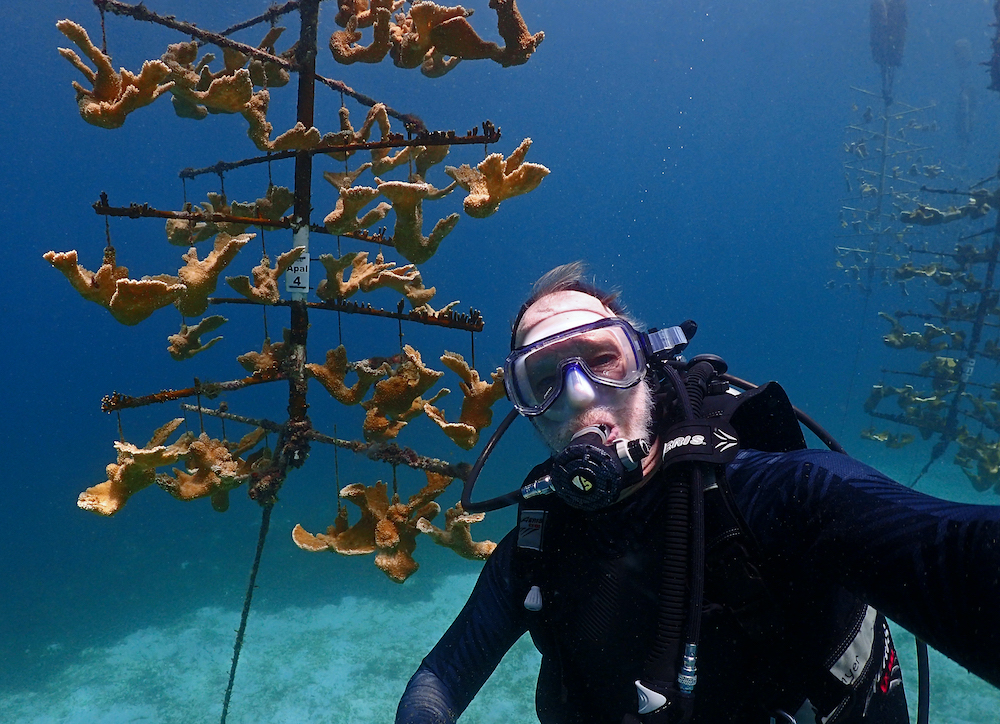 Ken Nedimyer Florida Keys coral nursery