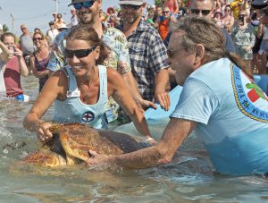 Turtle release Florida Keys