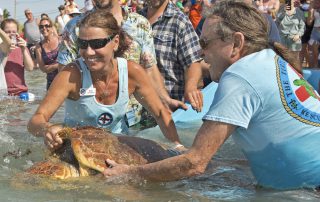 Turtle release Florida Keys