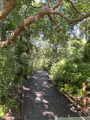 Key West Tropical Forest & Botanical Garden