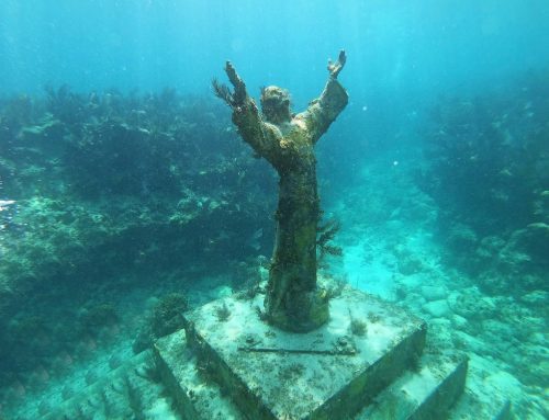 A Presence of Peace Beneath the Sea