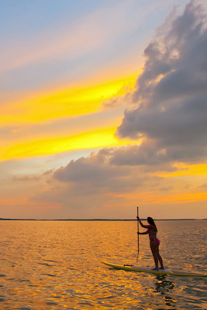 Florida Keys sunset paddle boarder