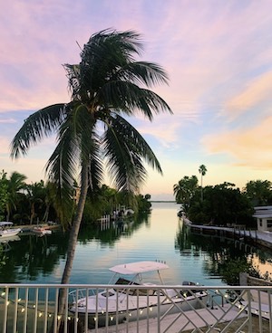 Florida Keys landscape