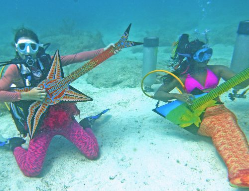 Underwater Music Festival Spotlights Coral Reef Protection