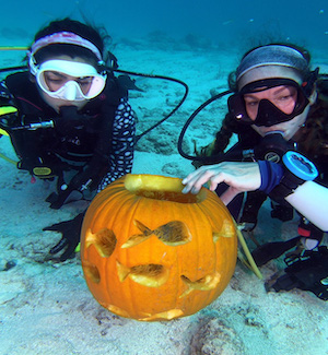 divers in Underwater Pumpkin Carving Key Largo