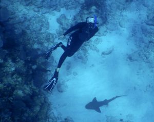 Woman diving Key Largo Florida Keys