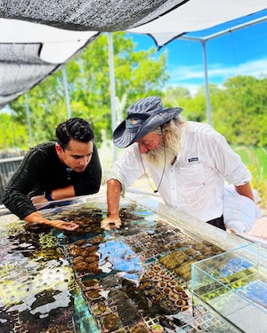 Dave Vaughan Florida Keys coral restoration