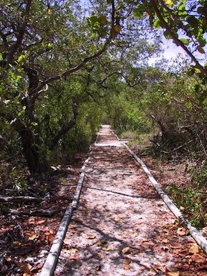 Indian Key trail Florida Keys
