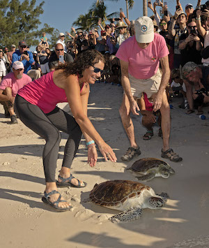 Turtle release Florida Keys beach