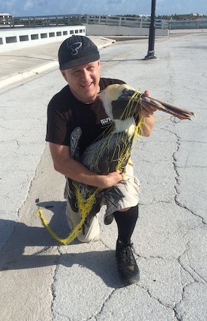 Man rescuing brown pelican off Key West