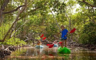 Florida Keys backcountry kayaking