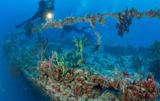 Diver Key Largo shipwreck