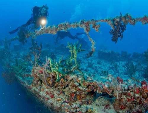 Explore History on the Florida Keys’ Shipwreck Trails