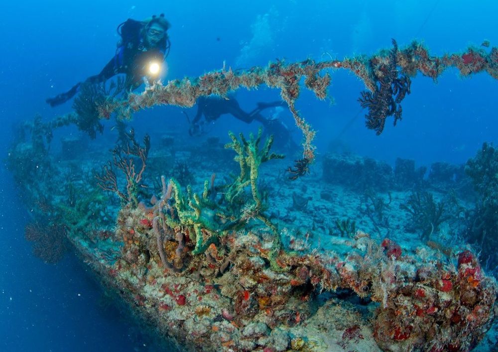 Diver Key Largo shipwreck