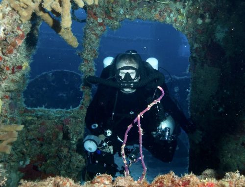 Steward of the Keys: Dan Dawson Dives
