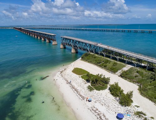 Five Ways to Honor Earth Day in the Keys