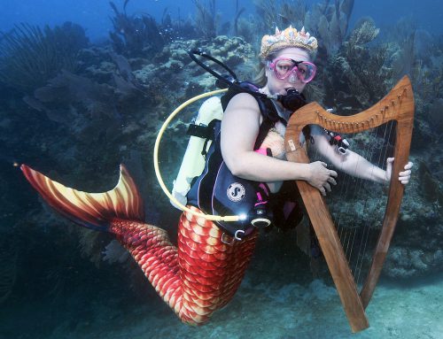 Underwater Music Fest to ‘Make Waves’ for Reef Protection