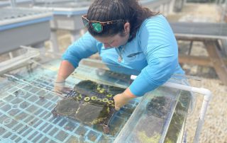 Woman working in coral restoration