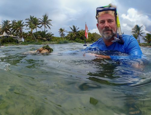 Chris Bergh: The Nature Conservancy’s Steward in the Keys