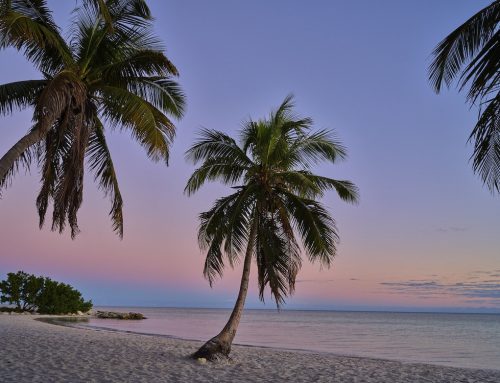 Choose Key West for a Dream-Come-True Wedding