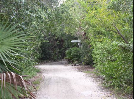 Nature trail at Crane Point, which is named for Keys preservationists Frances and Mary Crane, both ardent horticulturists. 