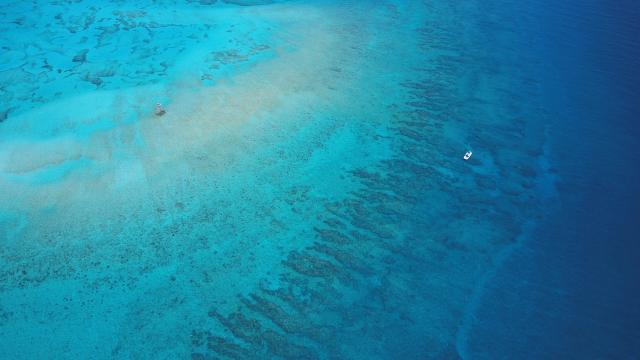 Aerial view of Molasses Reef, Sept. 2017. Image: Jack Fishman