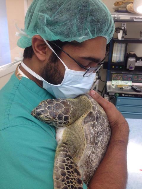 Dr. Raj knuddelt eine Schildkröte (c) Turtle Hospital