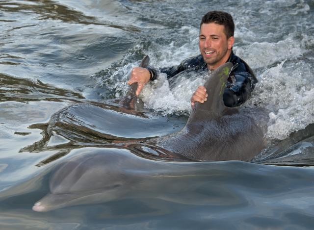 Im Wasser mit Delfinen (c) Andy Newman Florida Keys News Bureau