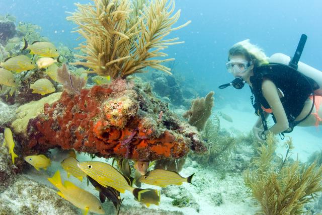 Scuba diving in Key Largo_Credit: Bob Care