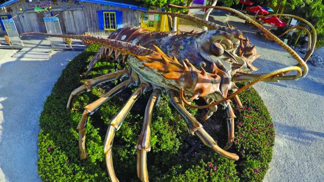 Betsy the Giant Lobster (c) Bob Care Florida Keys News Bureau
